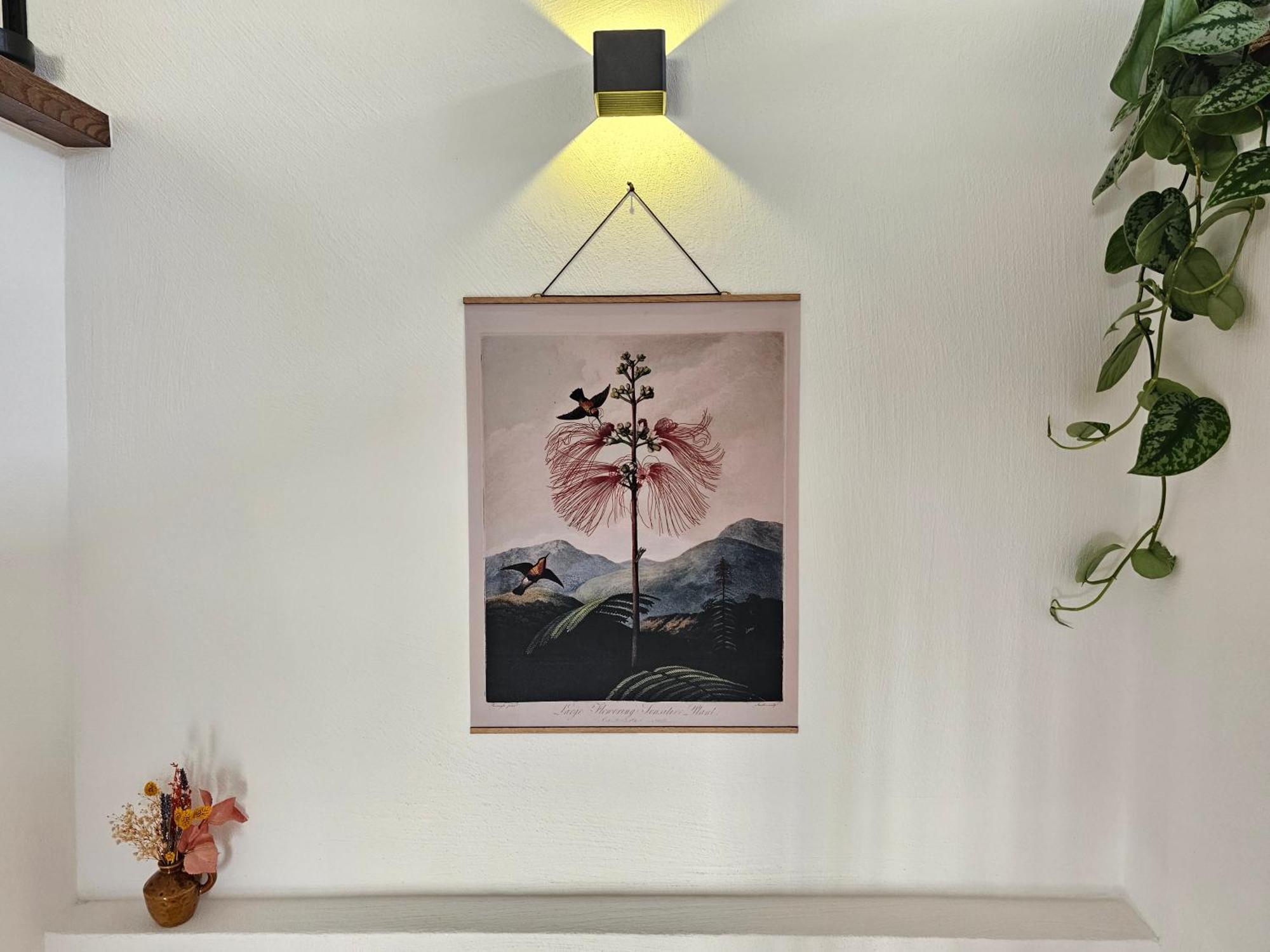 Kolibri - Design Maisonette - Nintendo Switch, Streaming, Bikestore, E-Wallbox Marburg Экстерьер фото